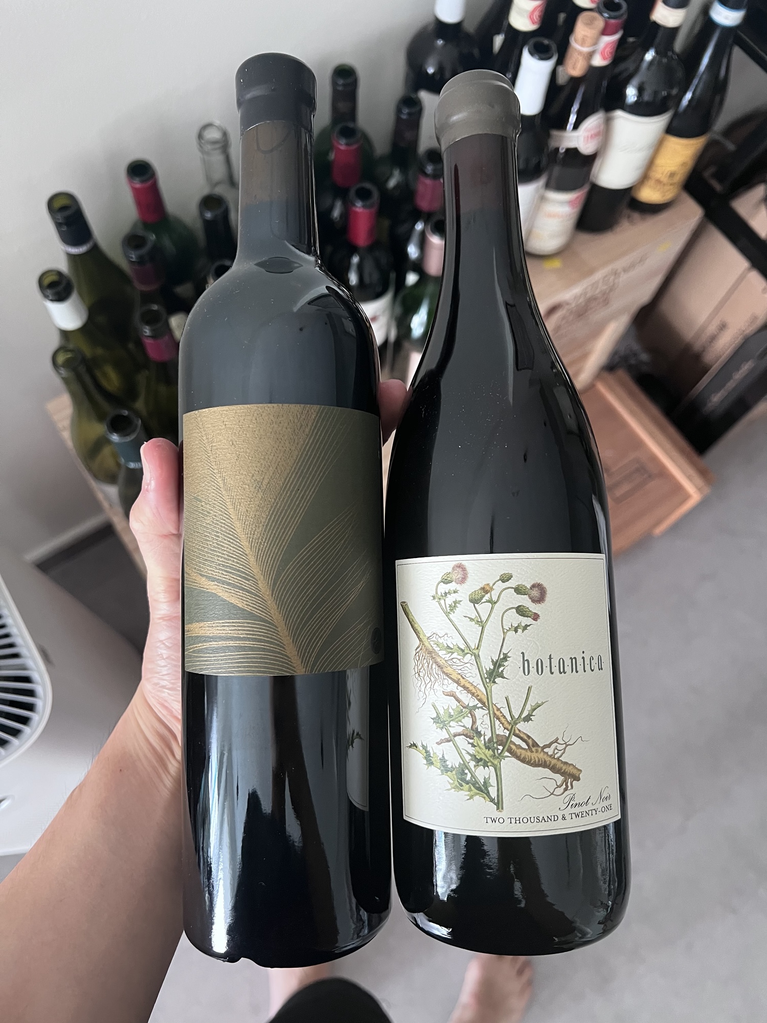 Lillian Syrah Gold 2020, and Antica Terra Pinot Noir Botanica 2021.