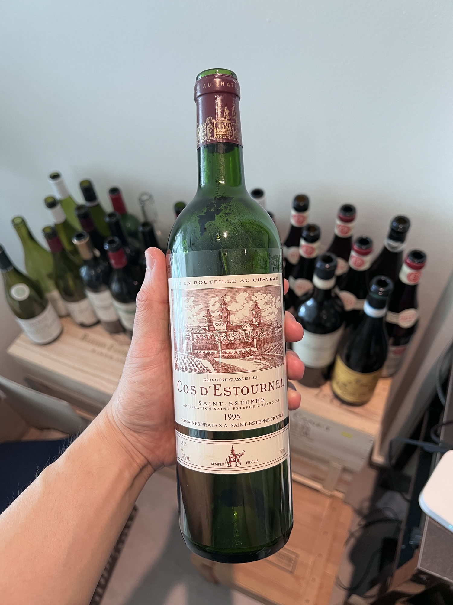 4.9. Cos d’Estournel 1995.